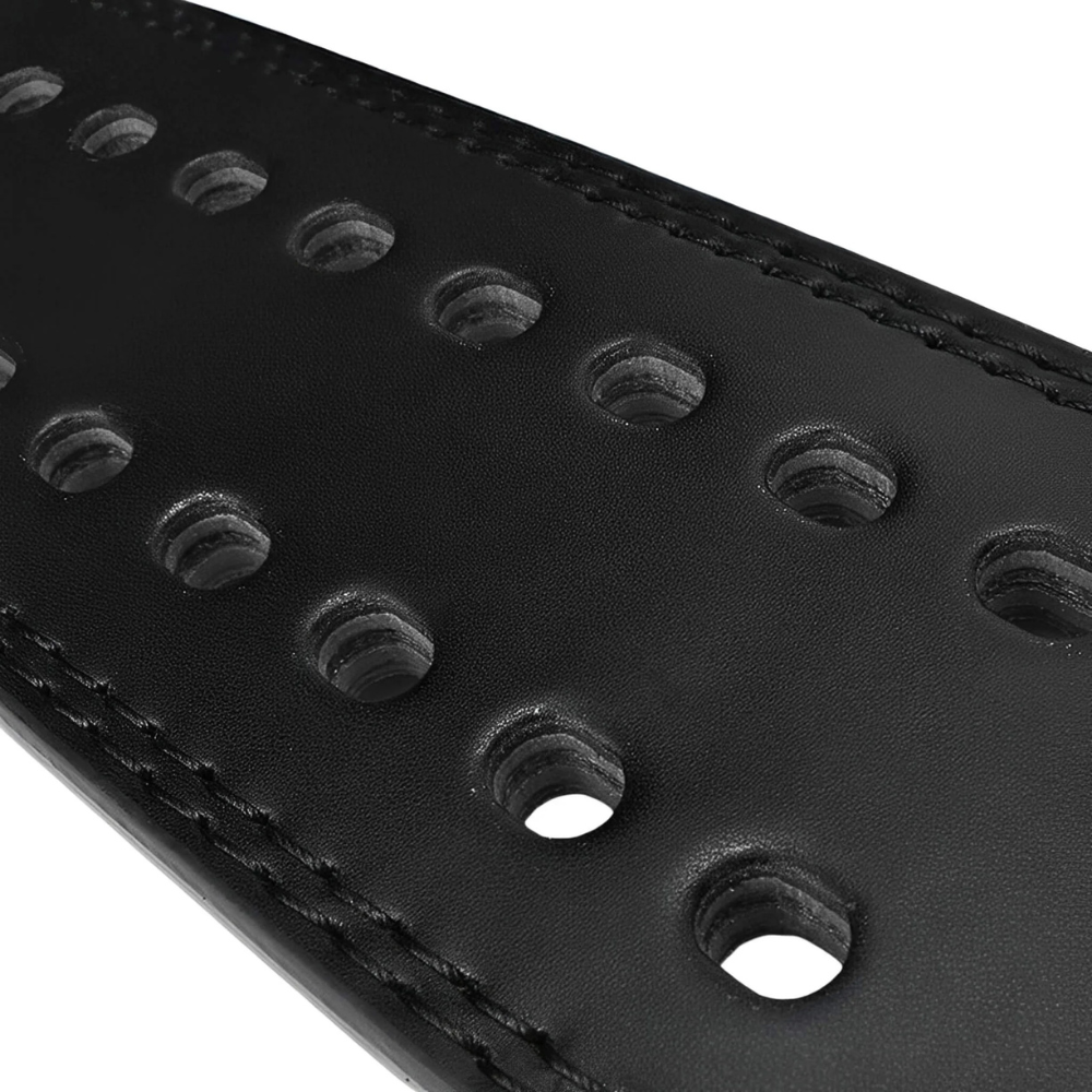 PROTECHT Lifting Belt