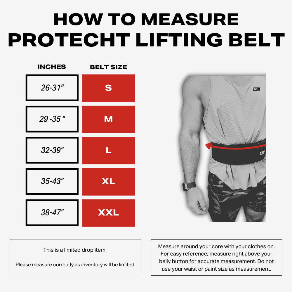 PROTECHT Lifting Belt